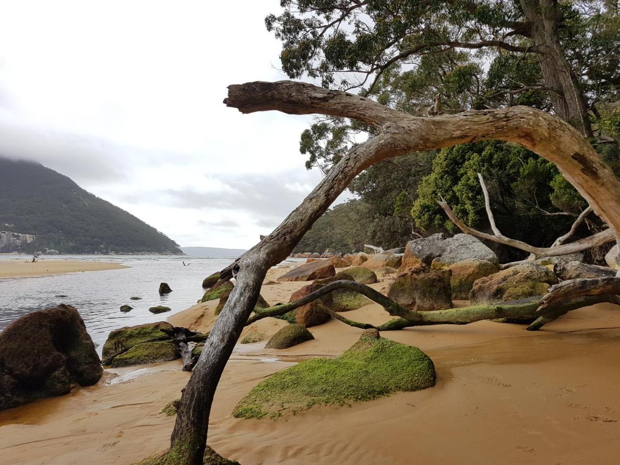 Fish Creek Adrift Accommodation Buitenkant foto